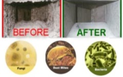 Mold Remediation | Mold removal services company houston